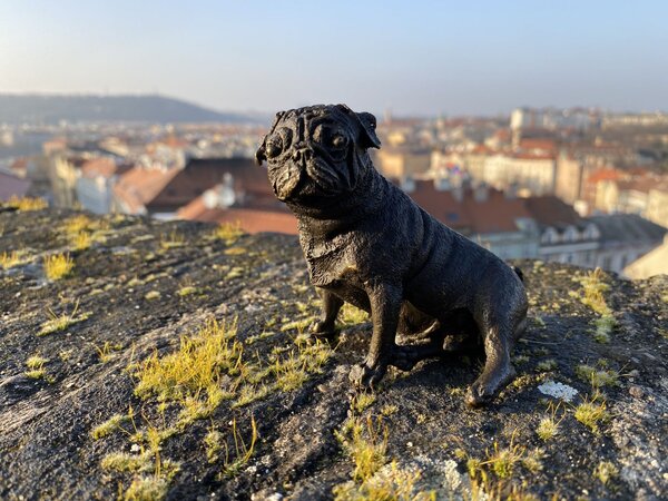 Bronzová socha soška - MOPS