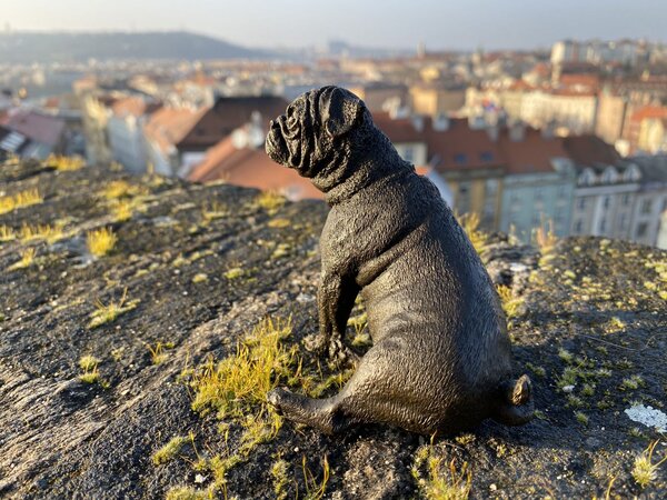 Bronzová socha soška - MOPS