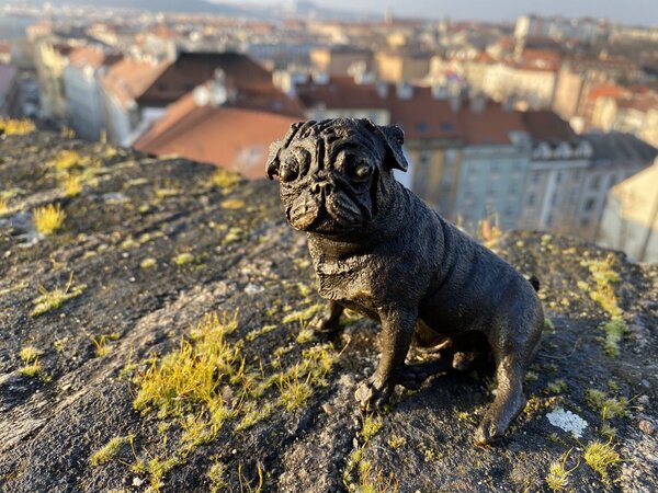Bronzová socha soška - MOPS
