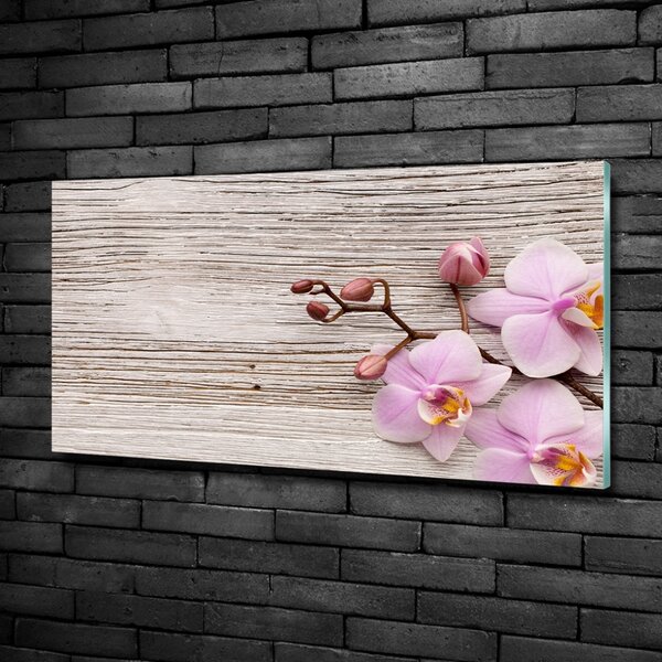 Moderní skleněný obraz z fotografie Orchidej a na stromě osh-62495656
