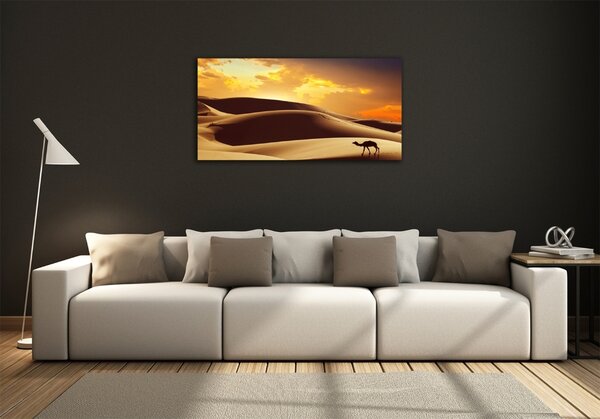 Foto obraz fotografie na skle Velbloud Sahara osh-62618383