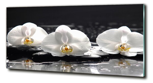Foto-obrah sklo tvrzené Orchidej osh-62952104
