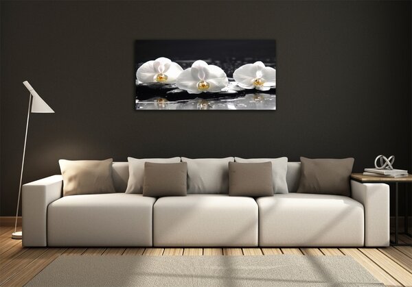 Foto-obrah sklo tvrzené Orchidej osh-62952104