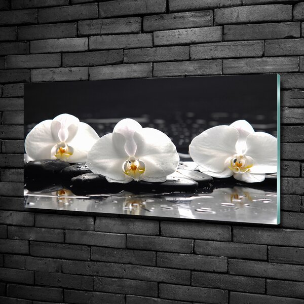 Foto-obrah sklo tvrzené Orchidej osh-62952104