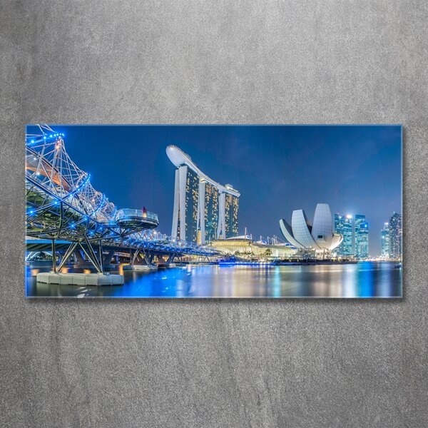 Foto-obraz fotografie na skle Singapur noc osh-63023260