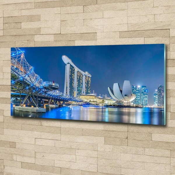 Foto-obraz fotografie na skle Singapur noc osh-63023260