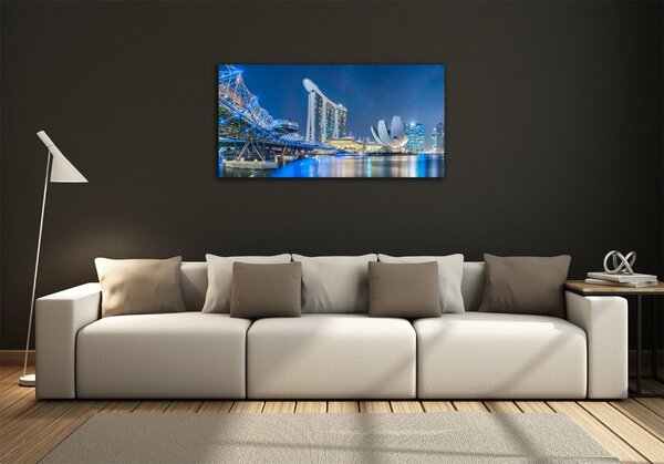 Foto-obraz fotografie na skle Singapur noc osh-63023260