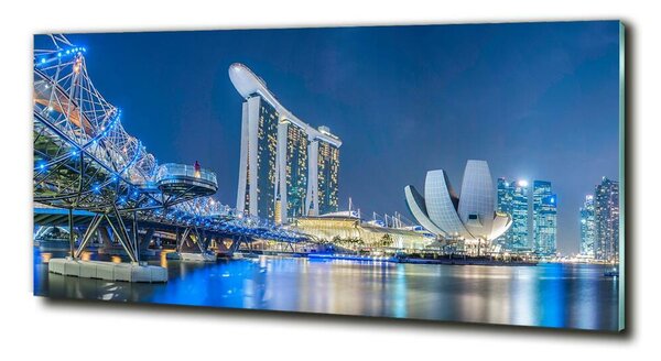 Foto-obraz fotografie na skle Singapur noc osh-63023260