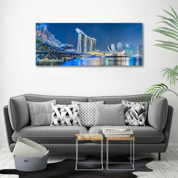 Foto-obraz fotografie na skle Singapur noc osh-63023260