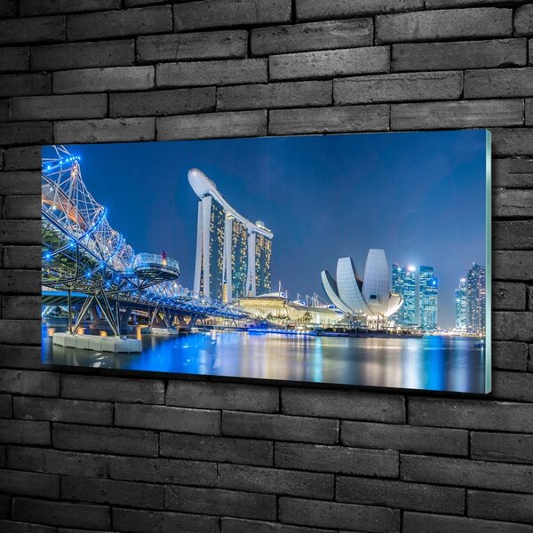Foto-obraz fotografie na skle Singapur noc osh-63023260