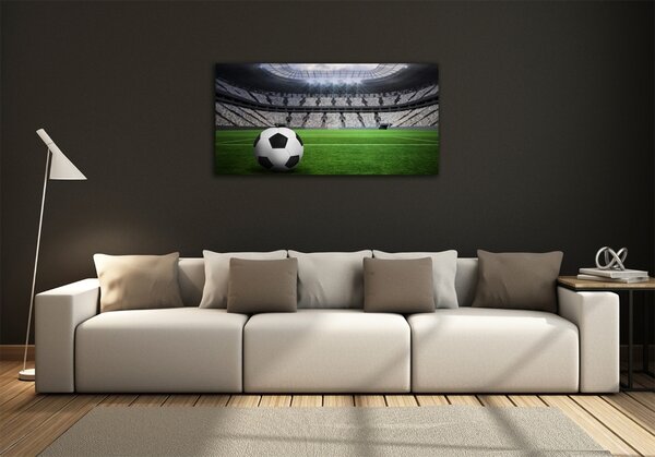 Fotoobraz na skle Míč na stadioně osh-63931532