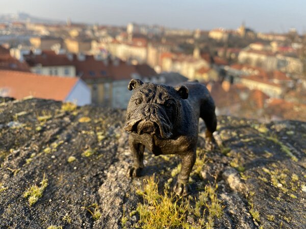 Bronzová socha soška - ANGLICKÝ BULDOK