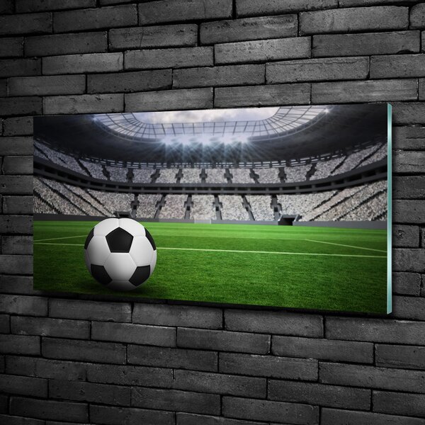 Fotoobraz na skle Míč na stadioně osh-63931532