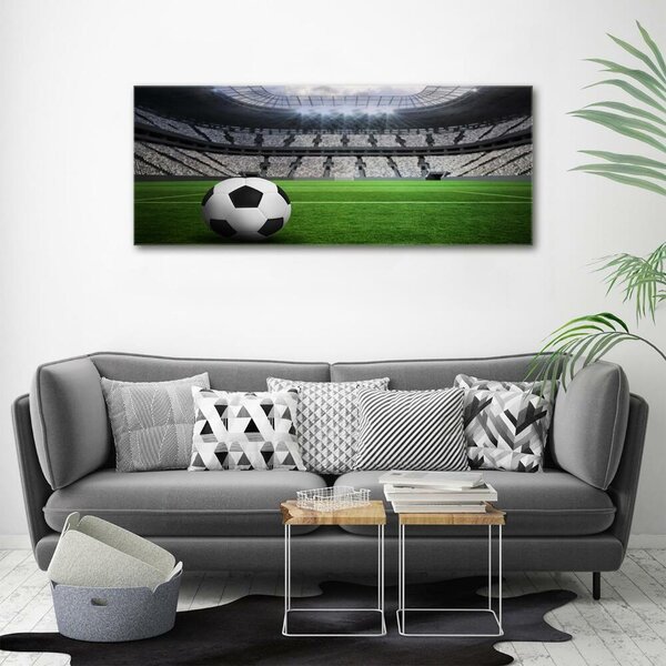Fotoobraz na skle Míč na stadioně osh-63931532