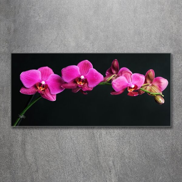 Fotoobraz na skle Orchidej osh-64284743