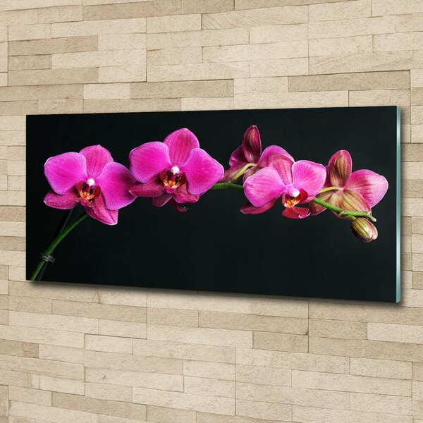 Fotoobraz na skle Orchidej osh-64284743
