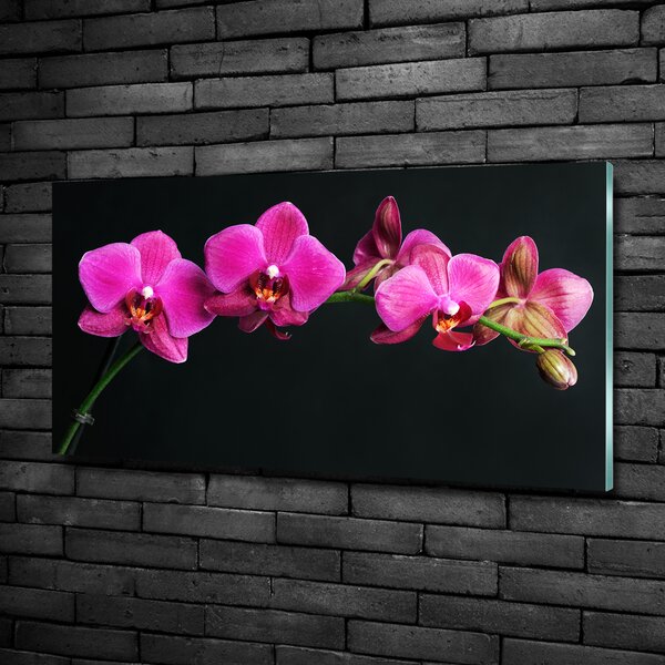 Fotoobraz na skle Orchidej osh-64284743