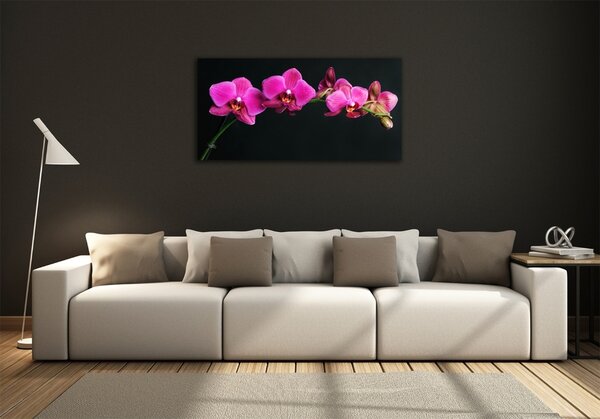 Fotoobraz na skle Orchidej osh-64284743