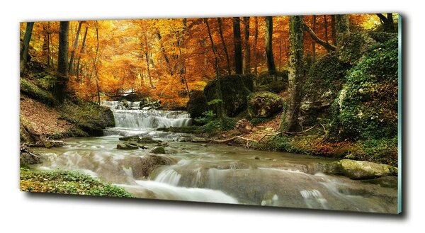 Foto obraz fotografie na skle Vodopád v lese osh-64421594