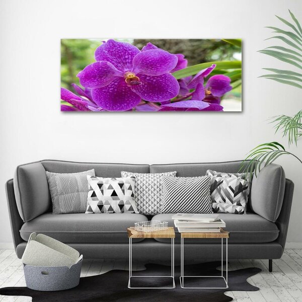 Foto obraz skleněný horizontální Orchidej osh-64607986