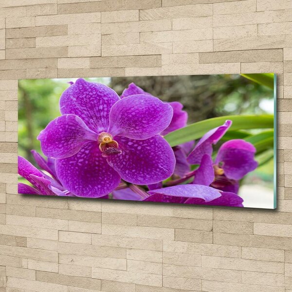 Foto obraz skleněný horizontální Orchidej osh-64607986