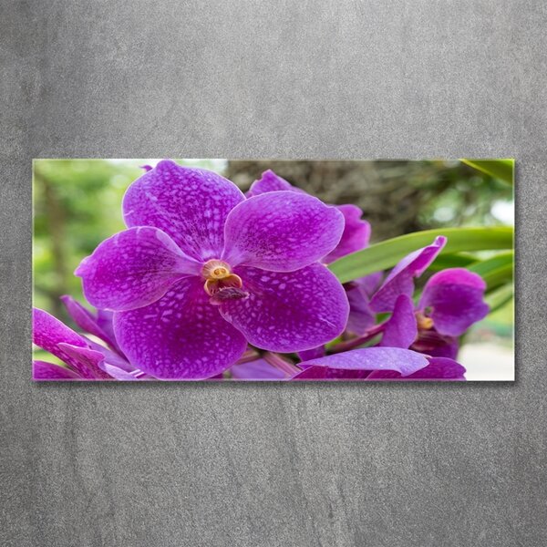 Foto obraz skleněný horizontální Orchidej osh-64607986