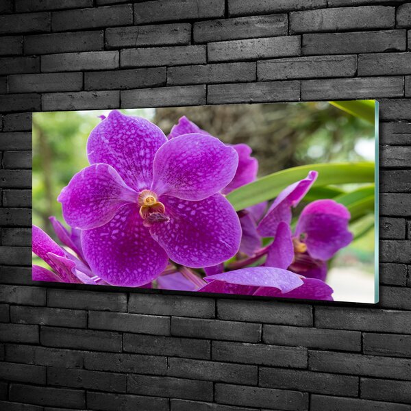 Foto obraz skleněný horizontální Orchidej osh-64607986