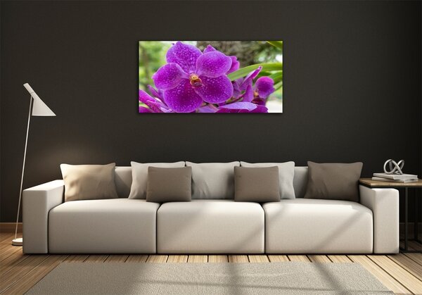 Foto obraz skleněný horizontální Orchidej osh-64607986