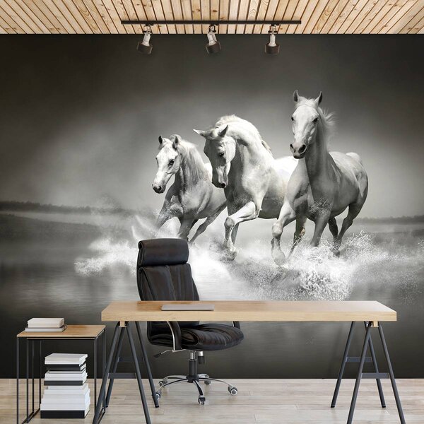 Fototapeta - Koně (152,5x104 cm)