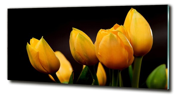 Foto obraz sklo tvrzené Žluté tulipány osh-64836622