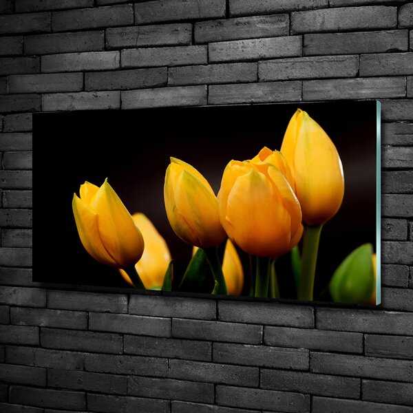Foto obraz sklo tvrzené Žluté tulipány osh-64836622