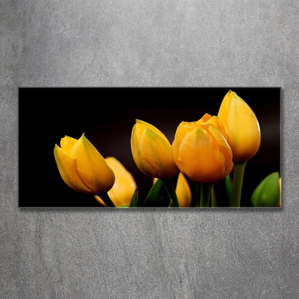 Foto obraz sklo tvrzené Žluté tulipány osh-64836622