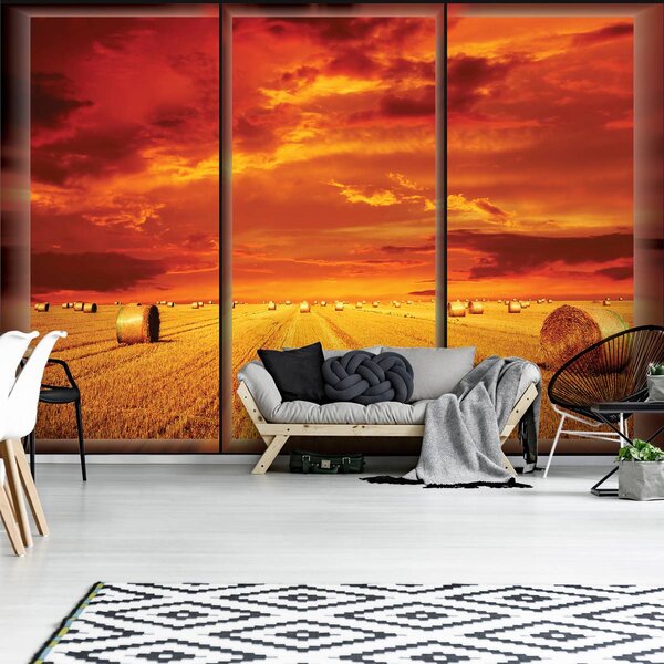Fototapeta - Venkovské krajiny (152,5x104 cm)