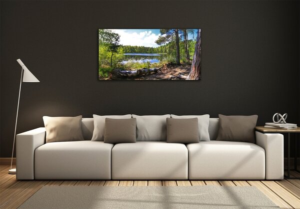 Foto obraz sklo tvrzené Lesní panorama osh-65467698