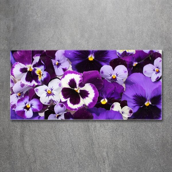 Foto obraz fotografie na skle Fialky osh-65504990