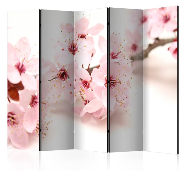 Paraván - Cherry Blossom II [Room Dividers]