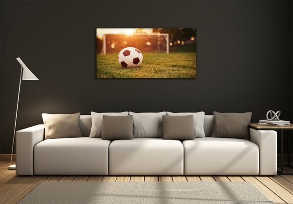 Foto obraz sklo tvrzené Míč na hřišti osh-66115658