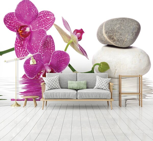 Fototapeta - Orchideje (152,5x104 cm)