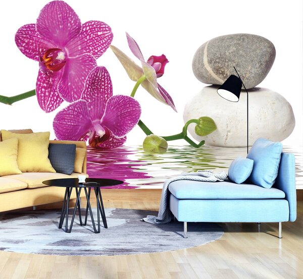 Fototapeta - Orchideje (152,5x104 cm)