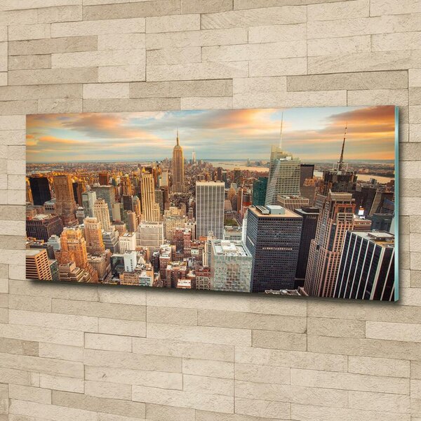 Fotoobraz na skle New York ptačí pohled osh-66358355