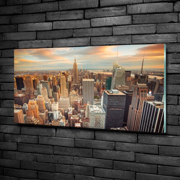 Fotoobraz na skle New York ptačí pohled osh-66358355