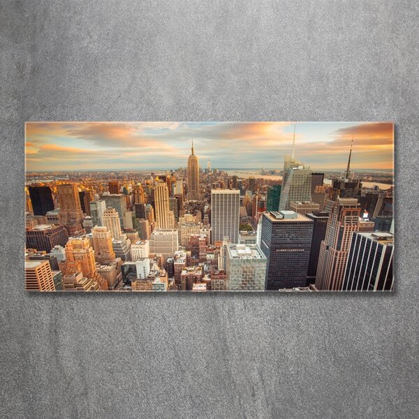 Fotoobraz na skle New York ptačí pohled osh-66358355