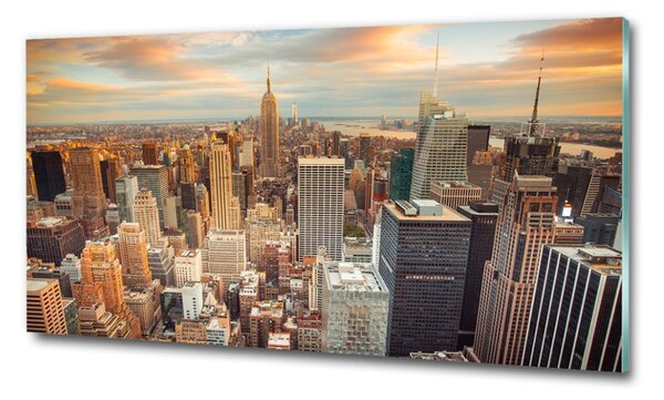 Fotoobraz na skle New York ptačí pohled osh-66358355
