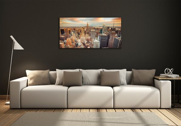 Fotoobraz na skle New York ptačí pohled osh-66358355