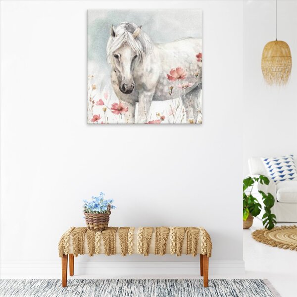 Obraz na plátně - Divoký kůň - 40x40 cm - CZ výroba