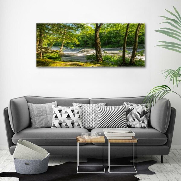 Foto obraz skleněný horizontální Řeka v lese osh-66915556