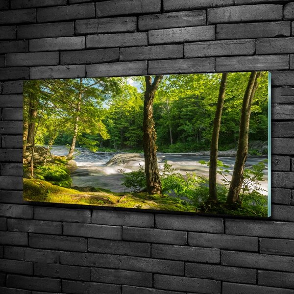 Foto obraz skleněný horizontální Řeka v lese osh-66915556