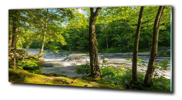Foto obraz skleněný horizontální Řeka v lese osh-66915556