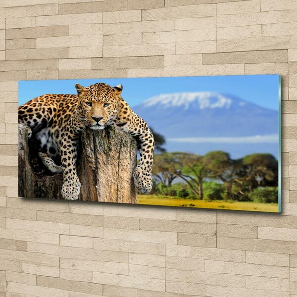 Fotoobraz na skle Leopart na kmeni osh-66888484