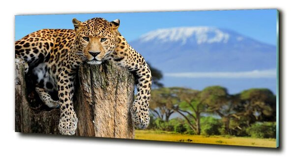 Fotoobraz na skle Leopart na kmeni osh-66888484